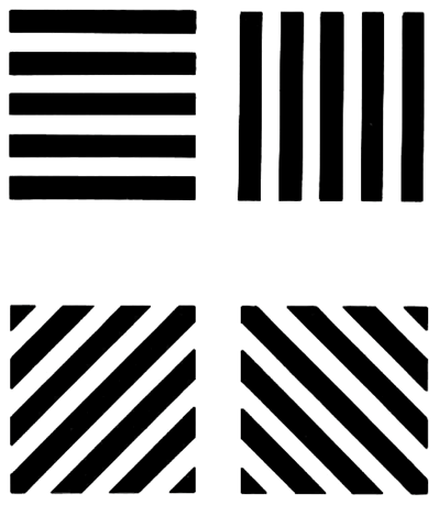 gadkes's profile picture. 