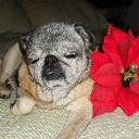 Kelli melton dobson - @KelliDobson - Twitter