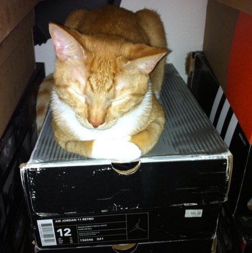 THErealADAMabu's profile picture. AKA Ad-Rock