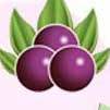freeacaidiets's profile picture. l love acai berry
