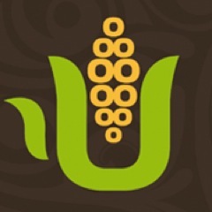 Tamalucos's profile picture. Nuestra misión es elaborar tamales que deleiten y sorprendan a las familias mexicanas.