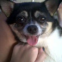 brooklyn may - @1DHaileyM - Twitter