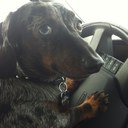 Molly McRae - @mollmcrae - Twitter