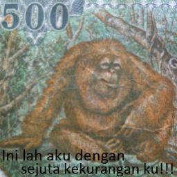 Wajib Follow Jika Peduli Orang Utan Kalimantan Follow Penguasa Hutan BORNEO #orangutan #OrangutanRelease