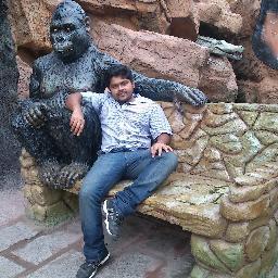Software Developer