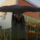 Andrew Ruppert - @AndrewSRuppert - Twitter