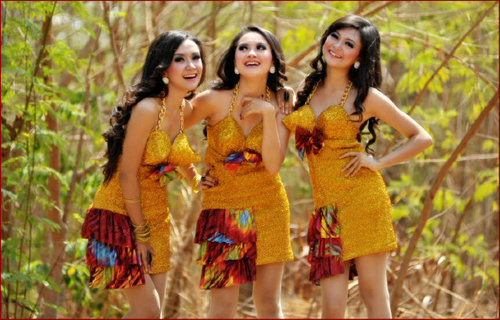 V-Three merupakan group vocal yang terdiri dari 3 cewek bersaudara (kandung) , Shara-Shevi-Shilka .
 .. Youtube : VThreeVirginThree