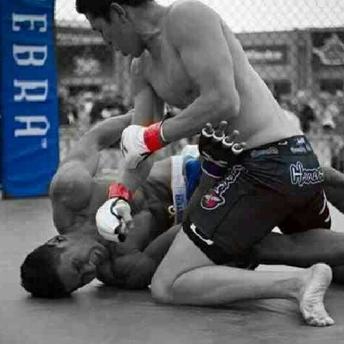 Full Blooded Native American . Dedicated father Undefeated MMA fighter, outdoor adventurer and Indigenous Advocate
