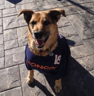 AM_Sandquist's profile picture. 