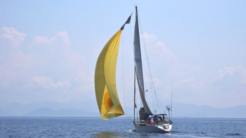 greenisland75's profile picture. guy chaise