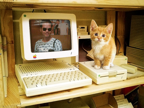 M2DNET's profile picture. -Warnet & Game Online- get's have fun...