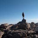 Braeden Flaherty - @BraedenFlaherty - Twitter