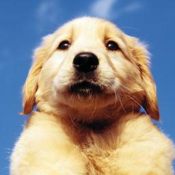 chikuwa_max's profile picture. ＦＸ大好き輝です！基本スキャルで、強いトレンドの時は少し長めに保有したりもします。トレードは一人部屋にこもって集中してチャートとにらめっこだから結構疲れますよね…ちょっと息抜きに呟いてみようかな。呟きトレーダーさんも沢山いますよね？気軽に絡んでやって下さい！