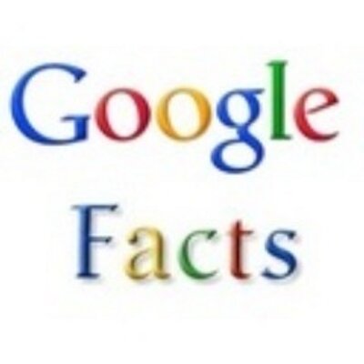 The Google Fact The Google Fact