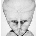 Adam Arce - @AdamA402 - Twitter