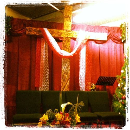 voauckland's profile picture. 