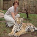 lynn swift - @lynnbswift - Twitter