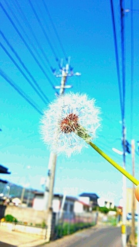 who1107's profile picture. ちゃん　　　　　　　　いつもの調子で　　　　　　　　ちゃん