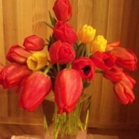 ちえみり (@chiemily) 's Twitter Profile Photo