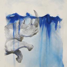 The Conscious Art Collaborative is a thought-provoking public artwork finds solutions for conservation. We are the voice for endangered species though our art.