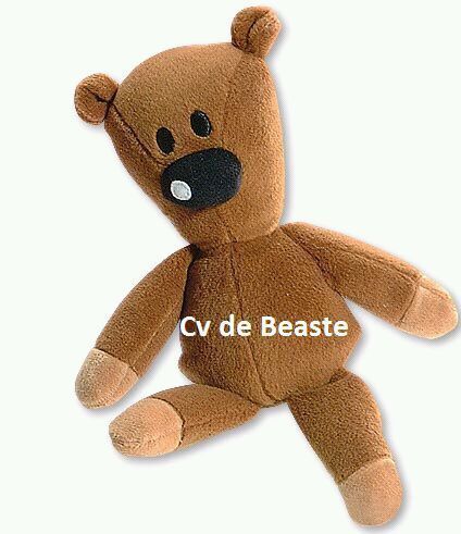 CV de Beaste Nuth 2012