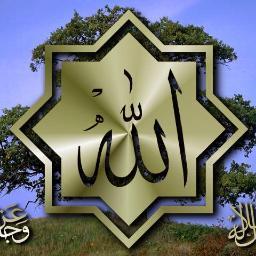 محمد أنور