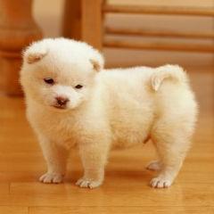 meme09837363's profile picture. *whenever you feel insignificant just remember how important you are to god he loves you*