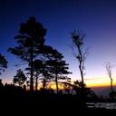 Ernie Wilson - @erniejodywilson - Twitter