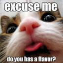 Leah Hutton - @LadyJane1981 - Twitter