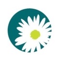 Daisy Street Vets - @DaisyStreetVets - Twitter