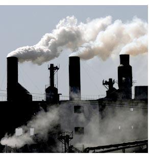 strange_loop's profile picture. 