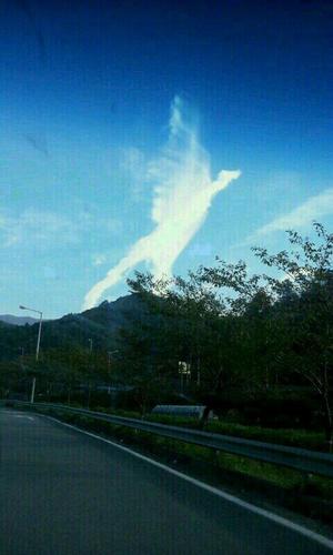 shin56712's profile picture. 