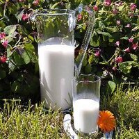 Keves piens (@kevespiens) Twitter profile photo