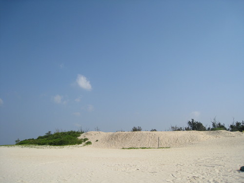 nijinoko1's profile picture. 