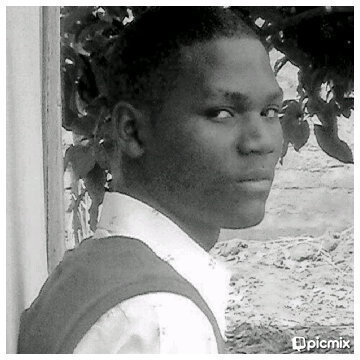 Francestwicy's profile picture. free born