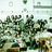 MATIC_SMABHAONE's profile image