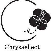 ChrysaellectINDIA (@chrysaellect) 's Twitter Profile