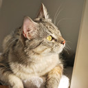 Bernhard Binder - @bernhard_binder - Twitter