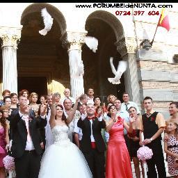 Inchiriem porumbei albi pentru nunti 0763671114
porumbei nunta Constanta ,inchirieri porumbei albi, porumbei nunti constanta,  porumbei albi nunti constanta