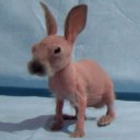 Ben Britton - @BenBritton7 - Twitter