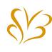 csv basilicata (@csvbasilicata) Twitter profile photo