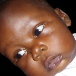 Ismart25's profile picture. 