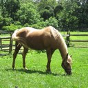 Ewa Jackson - @elotta908 - Twitter