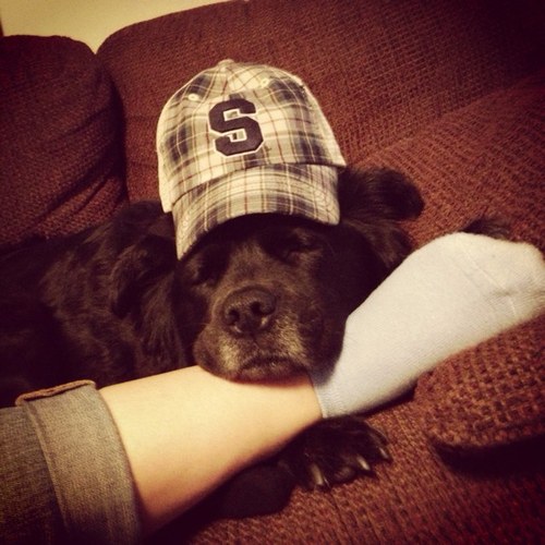 VShoud's profile picture. 