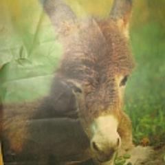 valy8851's profile picture. ...engineering, chemist, teacher, commercial driver, photograph, computers operator.