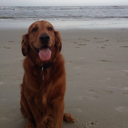 claypennington's profile picture. 