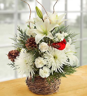 VickieB05545073's profile picture. 