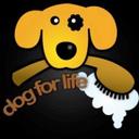 Jon Dizon - @broili46 - Twitter