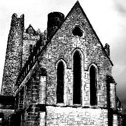 luskcommunity's profile picture. 