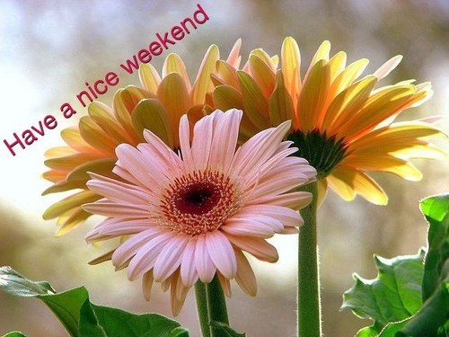 Nosah999's profile picture. 